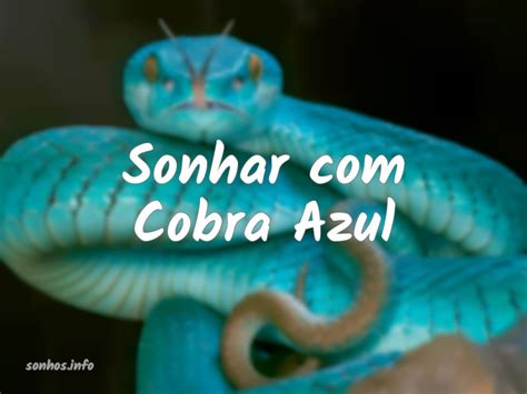 Sonhar Cobra Azul Sonhos Info