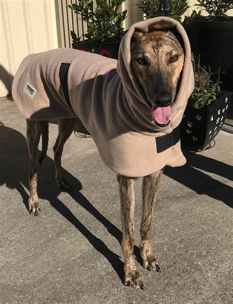 Classic Beige Greyhound Dog Coat Double Thick Polar Fleece Etsy Australia