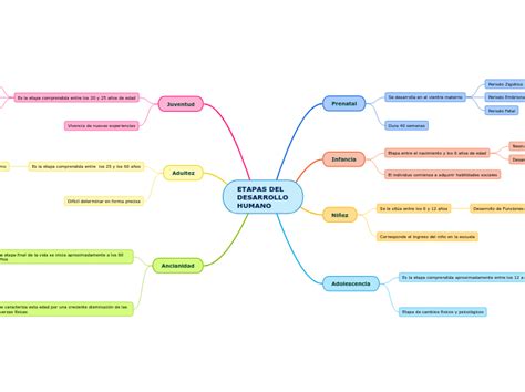 Etapas Del Desarrollo Humano Mappa Mentale Schema