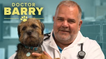 Watch Doctor Barry Free TV Shows Tubi