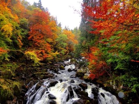 9 Stunning Fall Foliage Trips to Take this Fall