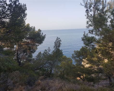 Randonnée Marche à Saint Cyr Sur Mer Calanque Port Dalon Boucle Par