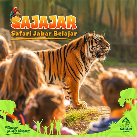 Promo Sajajar Hingga November 2024 Masuk Taman Safari Bogor Hanya