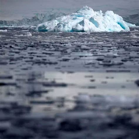 Cambio Clim Tico El Hielo Marino Invernal De La Ant Rtida Registra Un