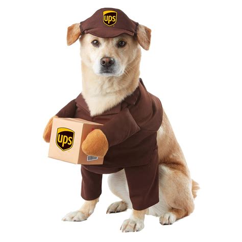 UPS Pal Dog Costume with Same Day Shipping | BaxterBoo