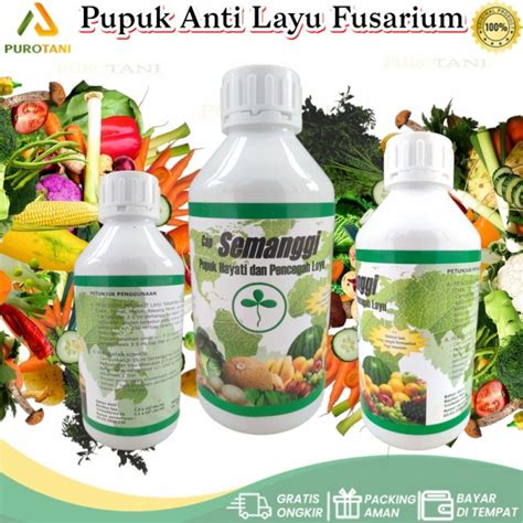 Jual Pupuk Organik Trichoderma Jamur Trikoderma Pencegah Layu Fusarium