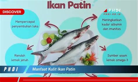 Ketahui Manfaat Kulit Ikan Patin Yang Bikin Kamu Penasaran