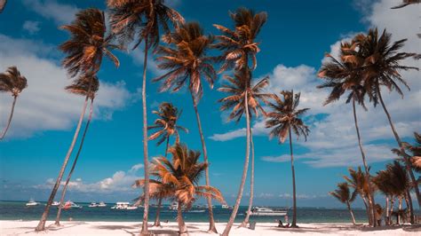 Punta Cana Dominican Republic Travel in 48 Hours