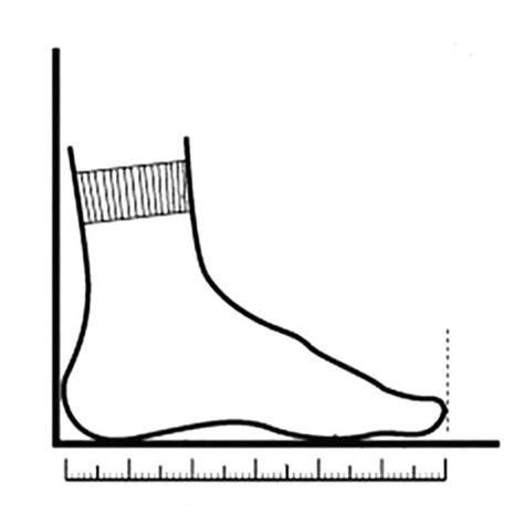 Whitin Shoes Size Chart Table + Measuring Instruction