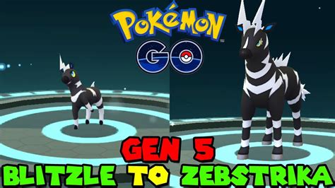 Zebstrika Blitzle Evolution Pokemon Trade Go | ubicaciondepersonas.cdmx ...