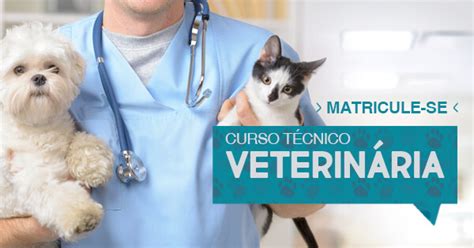 Curso T Cnico Em Veterin Ria Aulas Pr Ticas Em Laborat Rios Completos