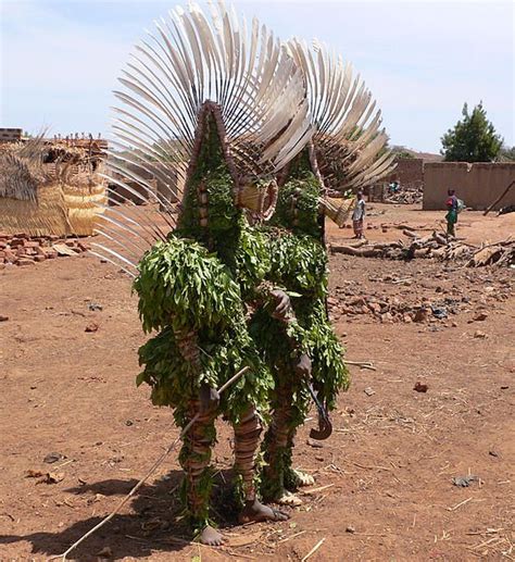 M Scaras Africanas O Que S O Tipos E Significados Significados