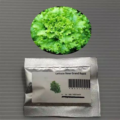 Jual Benih Lettuce New Grand Rapid Isi Benih Shopee Indonesia