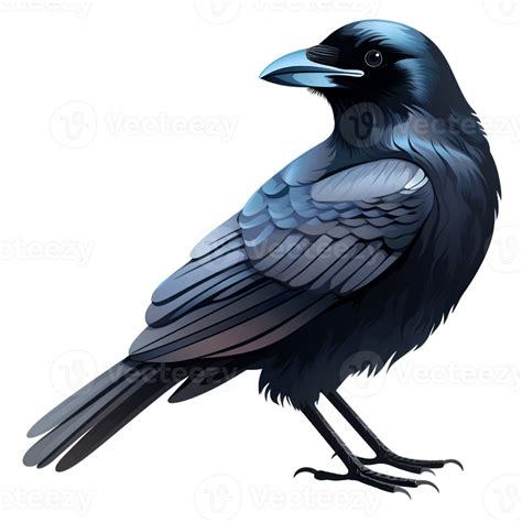 Crow Cartoon Ai Generative 28272528 Png