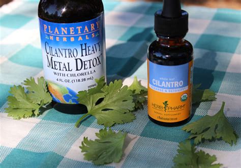 Beneficios Para La Salud Del Cilantro 3 Razones Para Comerlo O