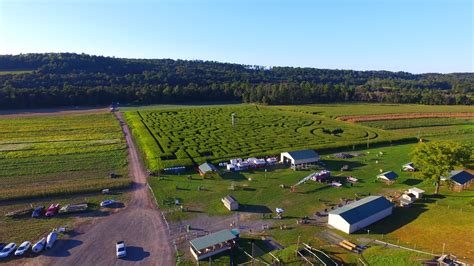 Mazezilla Corn Maze - Pumpkin Patch Near Me