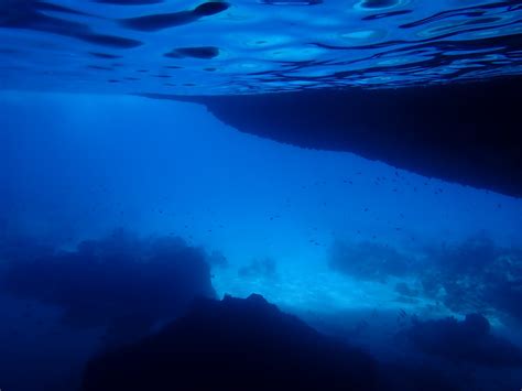 Blue Room Cura Ao Snorkel Exploring Snorkel Things