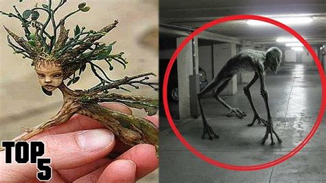 Top 5 Scary Real Monsters Caught On Camera – Otosection