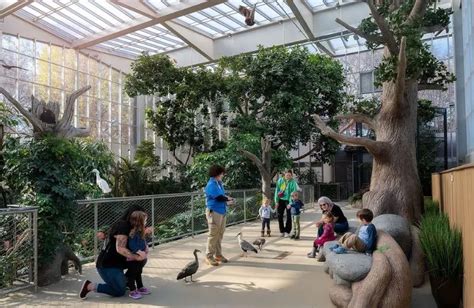 National Aviary in Pittsburgh - Penguins, Waterfall & Over 500 Birds ...