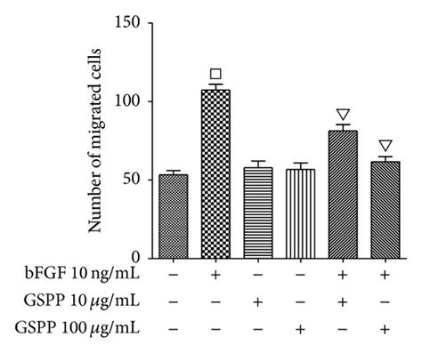 Gspp Inhibits Bfgf Induced Migration Of Hlecs A Wound Healing Assay