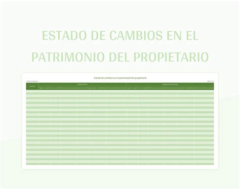 Plantilla De Excel Estado De Cambios En El Patrimonio Del Propietario Y