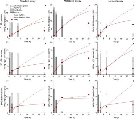 The Combined Effect Of Hgii Speciation Thiol Metabolism And Cell