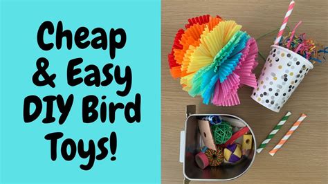 Cheap And Easy Diy Parrot Toys 2 Birdnerdsophie Youtube