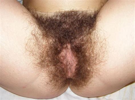 Really Hairy Pussy