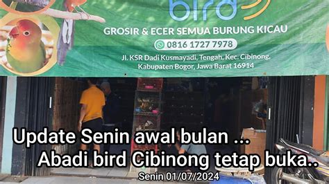 Update Stok Senin Awal Bulan Tetap Buka Abadi Bird Cibinong