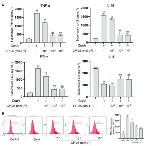 Cp Inhibited Inflammatory Cytokines And Ros Release In Raw