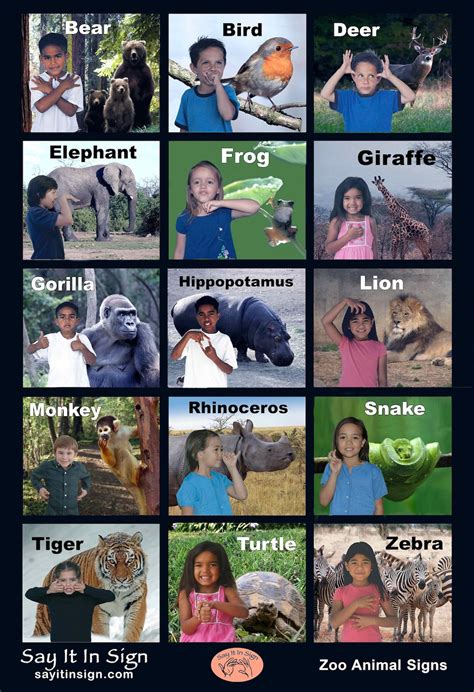 Zoo Animal Signs ASL Lenticular Poster, Zoo Poster, Animal Sign ...