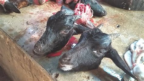 Amazing Goat Head Cutting And Cleaning Skills In Meat Market Bangaladeshi Goat Head Cutting