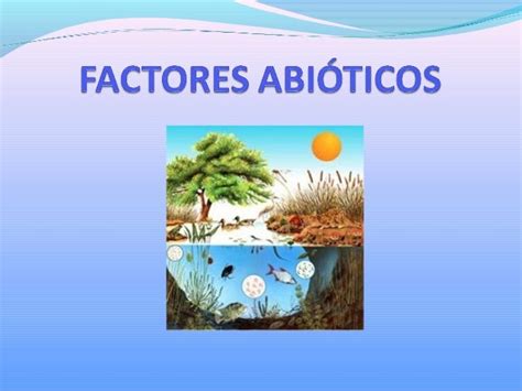 Factores Abióticos