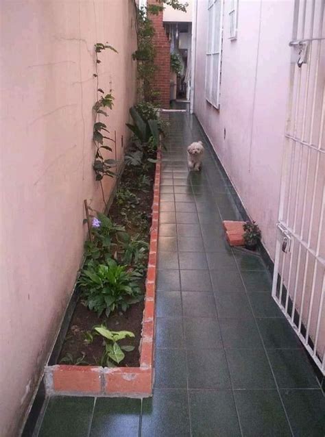 small garden design ideas   charming alleyway