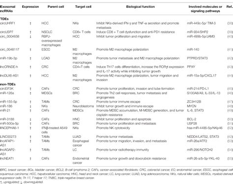 Table 1 From Crosstalk Of Exosomal Non Coding Rnas In The Tumor