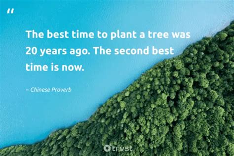 43 Tree Planting Quotes To Inspire You To Grow A Forest