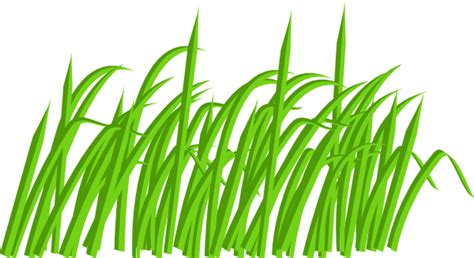 Free Grass Border Cliparts, Download Free Grass Border Cliparts png ...