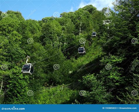 Cable Car Over The Forest Stock Image Image Of Sunny 192885833