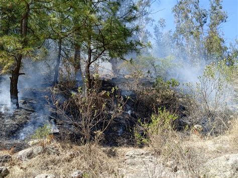 Gem Cofom Atiende Y Controla Incendios Forestales En Michoac N