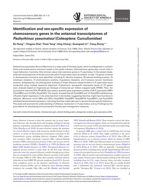 Pdf Identification And Sex Specific Expression Of Chemosensory Genes