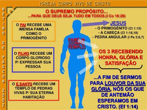 PPT IGREJA CORPO VIVO DE CRISTO PowerPoint Presentation Free