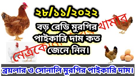 ২৮ নভেম্বর🐔 আজকের ডিম ও মুরগির পাইকারি দাম কত জেনে নিন 🐓 ব্রয়লার