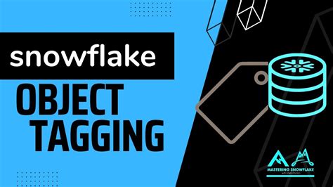 How To Categorise Your Snowflake Objects Object Tagging Tutorial