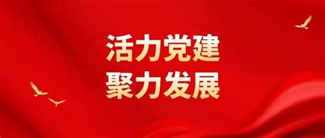 活力党建 聚力发展 ——淄博市市直机关党建工作展播（五） 政治 人代 理论