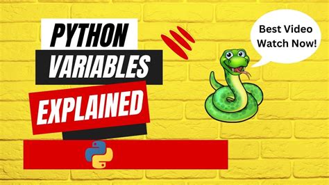 Python Variables And Data Types Explained Learn Python Basics With This This Tutorial For