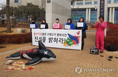 고래고기 환부한 검찰 규탄하는 동물보호단체 연합뉴스