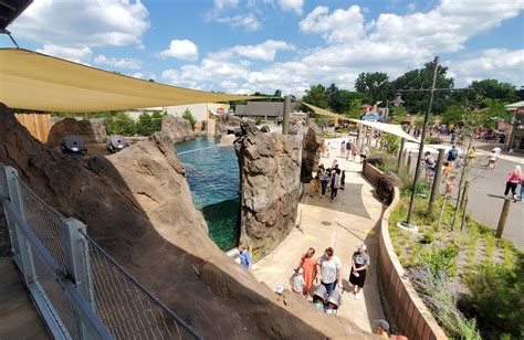 Aug 2020 New Adventure Cove Right Sea Lionharbor Seal Exhibit