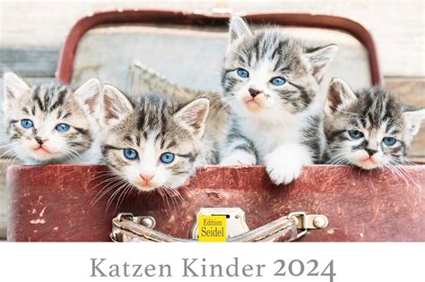 Edition Seidel Premium Kalender Coole Katzen Format Din A