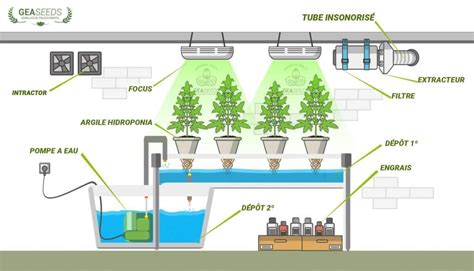 Comment Monter Une Culture Hydroponique Guide Compl Te Tape Par Tape