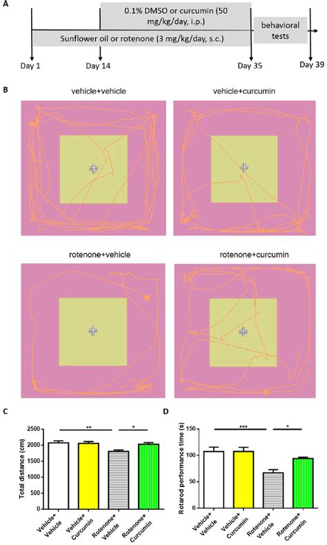 Curcumin Treatment Reversed Rotenone Induced Behavioral Defects In